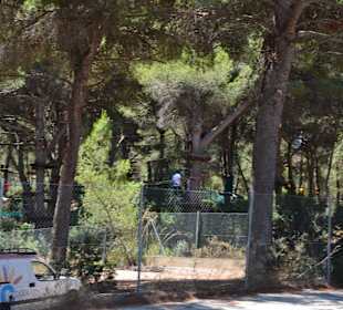 Jungle Park