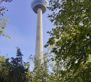 Luisenpark mit Fernmeldeturm