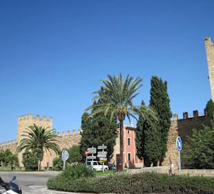 Alcudia