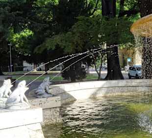 Ansichten des Froschbrunnens