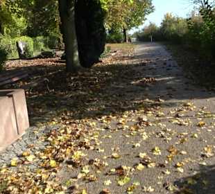 Friedhof Thalfingen