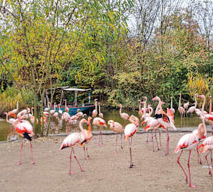 Zoo Hannover 