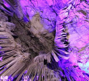 Ausflug nach Gibraltar 