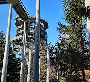 Waldwipfelweg St Englmar/Maibrunn