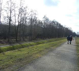 Naturschutzgebiet Boberger Niederung