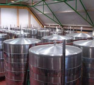 Weingut Klein Constantia