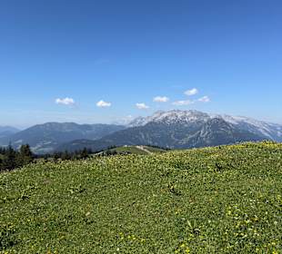 Ausblick