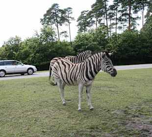 Serengeti Park Hodenhagen