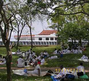 Einfach viele Menschen!