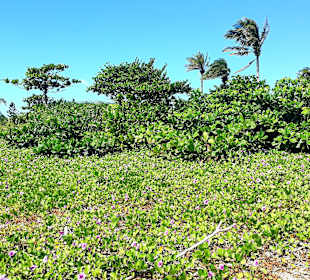 Stadtstrand Kenting City