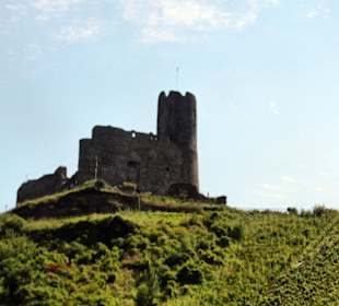 Blick auf die Burg Landshut
