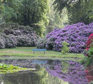 Der See wird umrandet von Hortensien