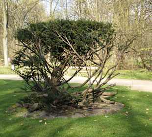 Łazienki Królewskie