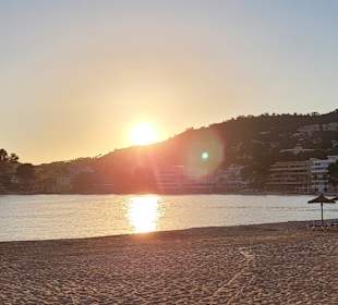 Strand Paguera/Peguera