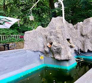 Terrasse Blue Elephant