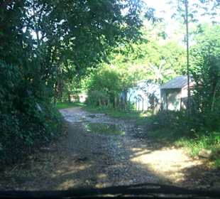 Auf dem Weg in den Dschungel