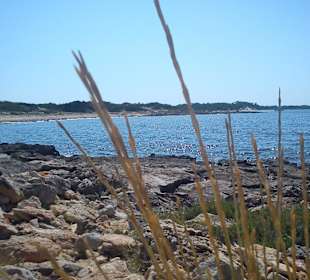Weg zum Strand