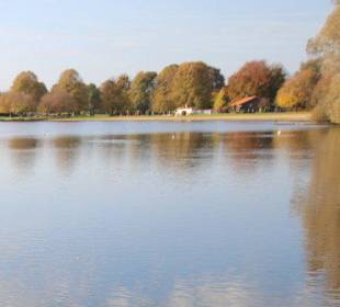 Blick auf den Hohnsensee