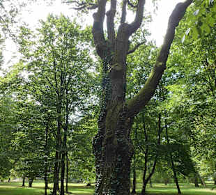 Museum und Park von Jan Kochanowski