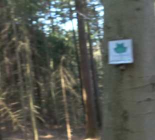 Wanderung Florianrunde