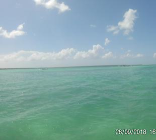 Isla Saona