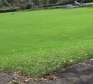 Ifm Riedstadion Tettnang