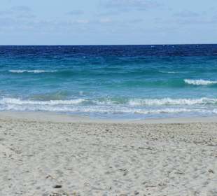 Hotel Hipotels Hipocampo Palace & Spa