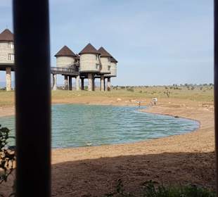 Ausblick aus Tunnel aufs Wasserloch