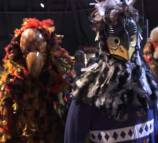 Fastnachtsmuseum Narrenschopf