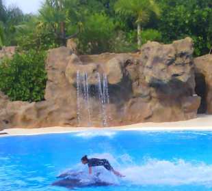 Ausflüge .Loro Park