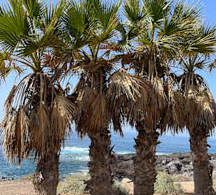 Strand Playa de la Arena