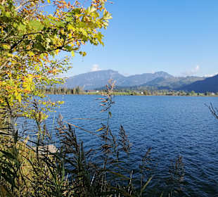 Walchsee