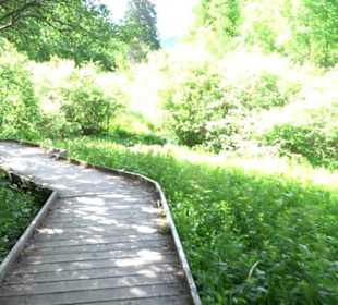 Wanderung Klosterquelle Klosterreichenbach