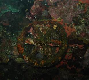 Die Überreste der Liberty