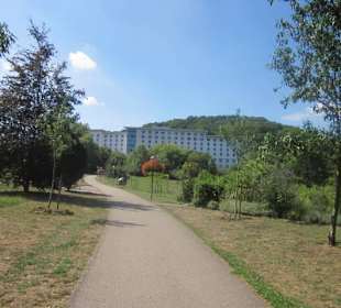 Kurpark Bad Bergzabern