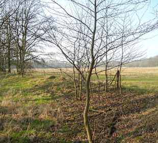 Wunderschöne Boberger Niederung