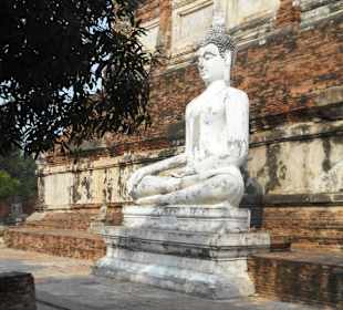 Wat Yai Chai Mongkon