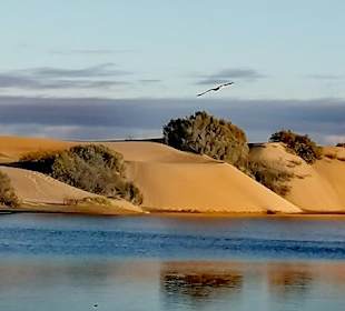 Dünen von Maspalomas