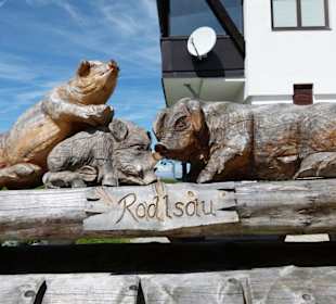 Hartkaiser - Rollsau