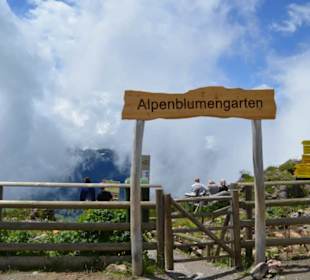 Kitzbüheler Horn