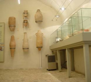 Ausstellungs Vitrinen