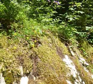 Valepper-Almen-Rundwanderung