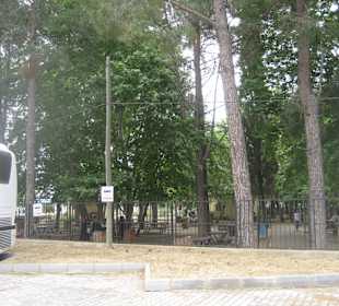 Ausflug Green Canyon