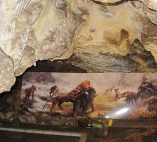 Jaskinia Niedźwiedzia