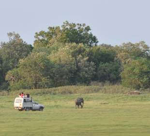 Minneriya , kawudulla safari park