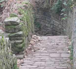 Schlangenweg zum Philosophenweg