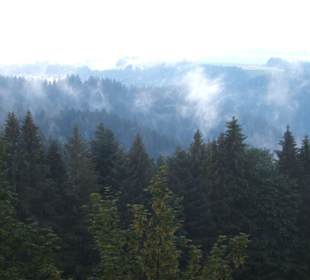 mieses Wetter im Schwarzwald