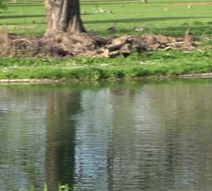 Unterer Schlossgarten Stuttgart