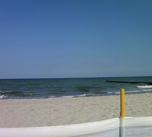 Ahrenshooper Ostseestrand im Juli