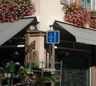 Altstadt Wissembourg